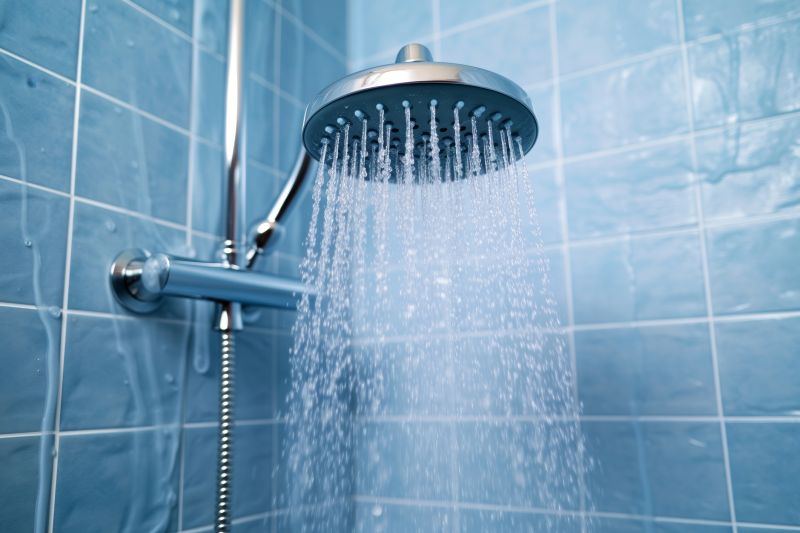 Shower Fixture Upgrades